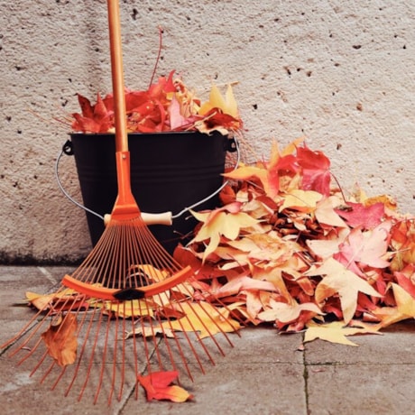 Vassoura Metálica Regulável com 22 Dentes em Arame Cabo de Madeira 120cm 77831821 TRAMONTINA-436ab7f3-34f2-4763-954f-41f161fd7767