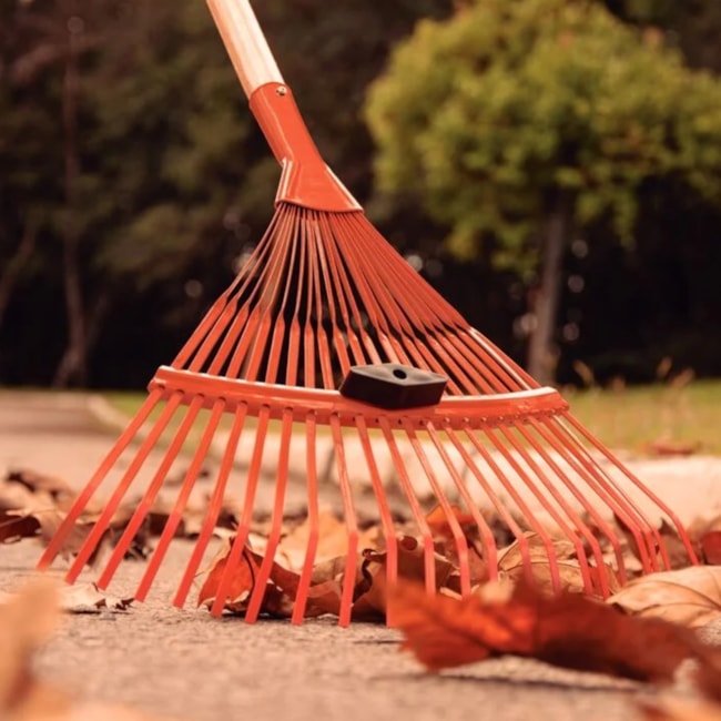 Vassoura Metálica Regulável com 22 Dentes Tipo Palheta Cabo de Madeira 120cm 77840721 TRAMONTINA-6c698175-2968-4fdd-bfe6-6c0e9c5edcf8