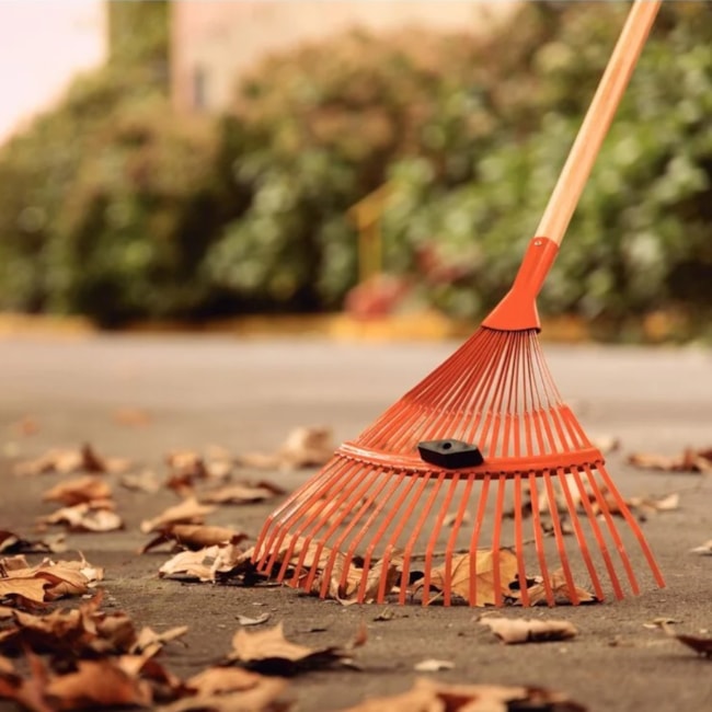 Vassoura Metálica Regulável com 22 Dentes Tipo Palheta Cabo de Madeira 120cm 77840721 TRAMONTINA-82289307-5452-4cc6-96fd-0d72d5aa213f