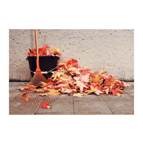 Vassoura para Jardim com Cabo de Madeira 22 Dentes 77831721 TRAMONTINA-9c73162e-e853-4625-b7da-0ac18cd422ac