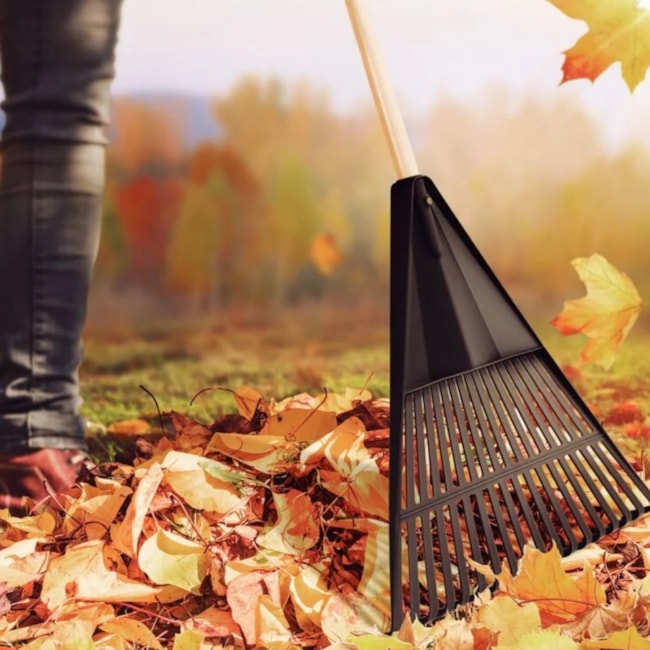 Vassoura Plástica Preta com 18 Dentes Cabo de Madeira 120cm 77850784 TRAMONTINA-890842b8-bcab-4a77-bed7-cc111c495962